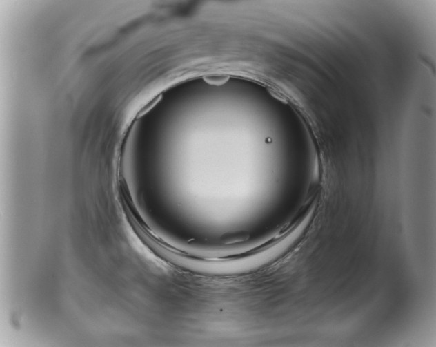 X0000099491528200805151354