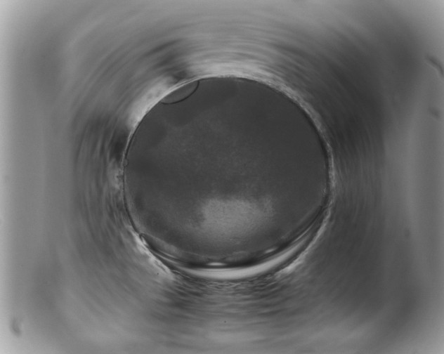 X0000099491529200805151354