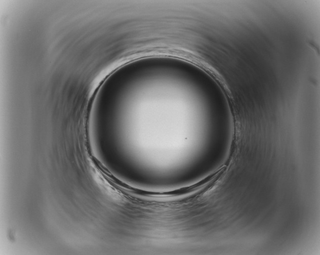 X0000099491530200805151354