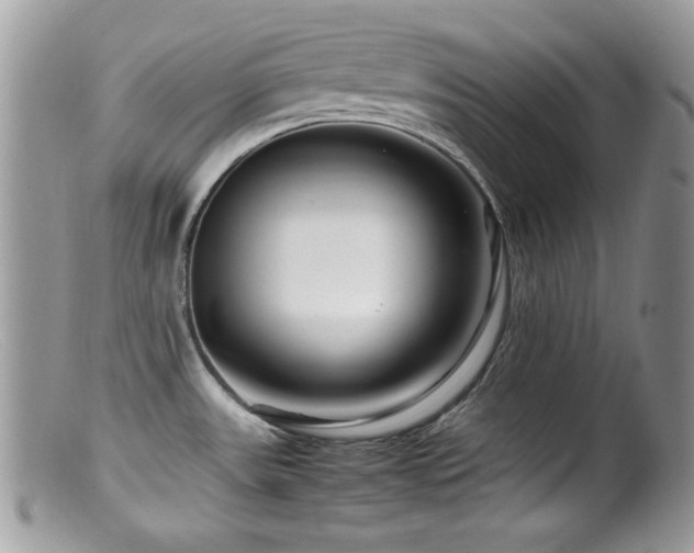 X0000099491531200805151355