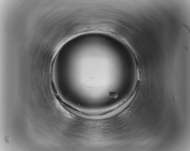 X0000099491532200805151355