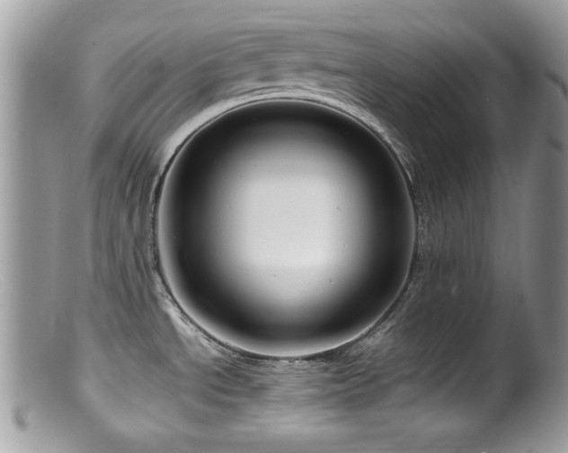 X0000099491534200805151355