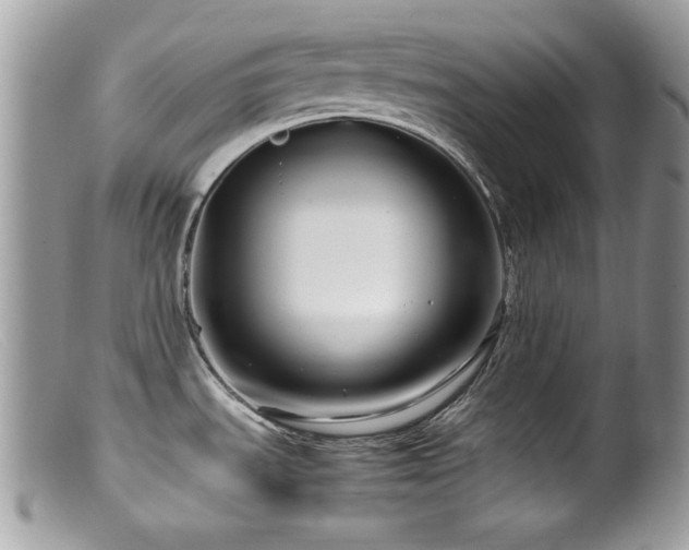 X0000099491535200805151355