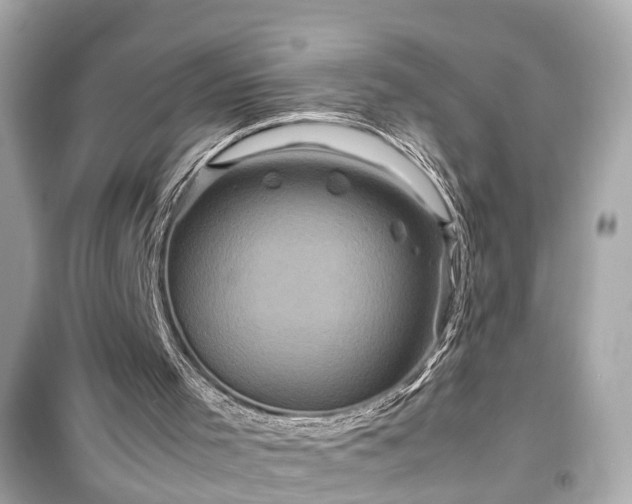 X0000099490001200805221348