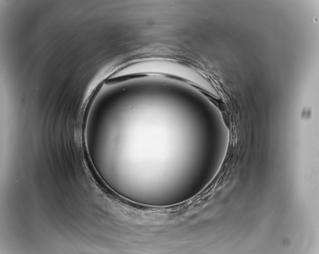 X0000099490004200805221348