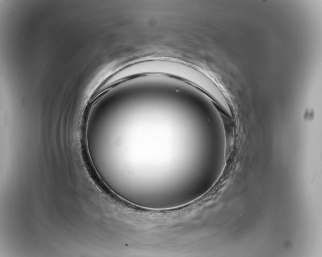 X0000099490007200805221348