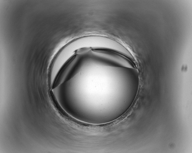 X0000099490008200805221348
