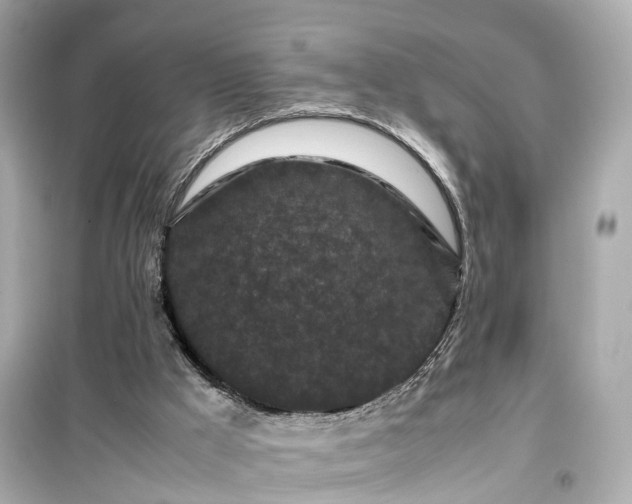 X0000099490009200805221348