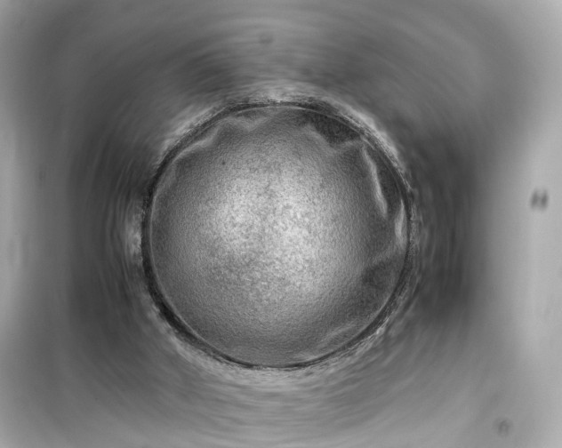 X0000099490010200805221348