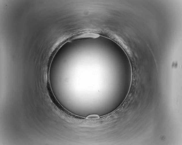 X0000099490011200805221348