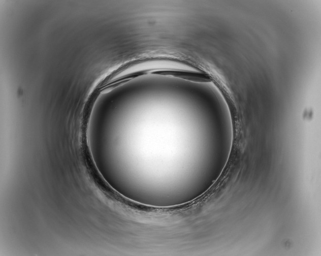 X0000099490012200805221348