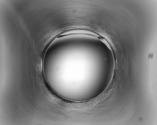 X0000099490013200805221348