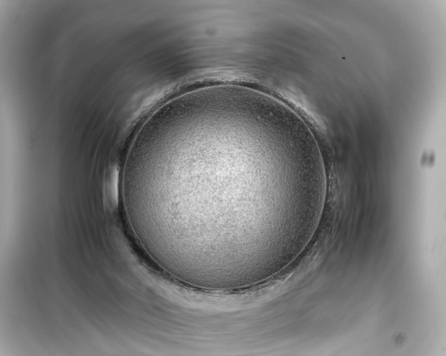 X0000099490014200805221348