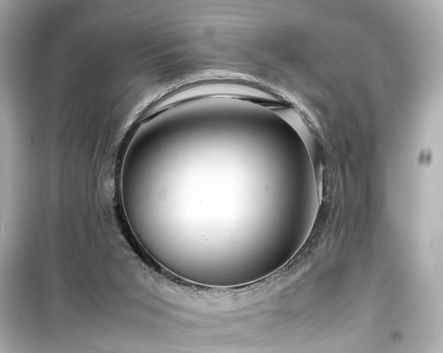 X0000099490015200805221348