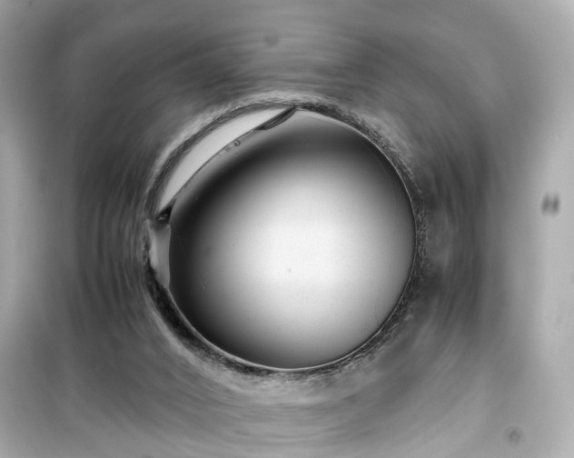 X0000099490016200805221348