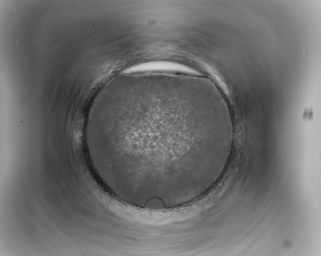 X0000099490018200805221348