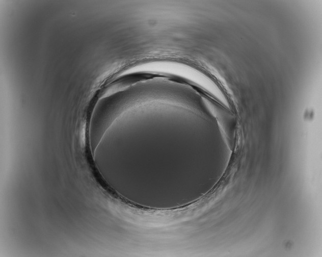 X0000099490019200805221348