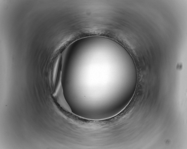 X0000099490020200805221348