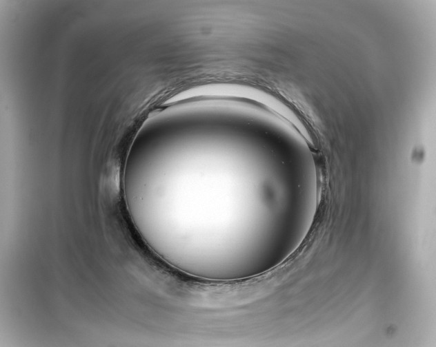 X0000099490021200805221348