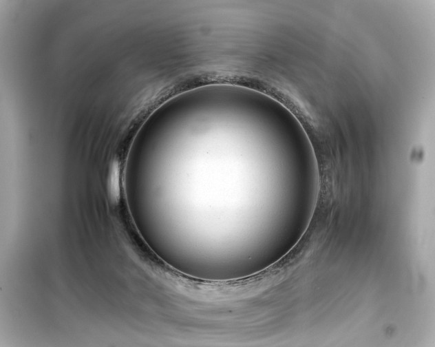 X0000099490022200805221348