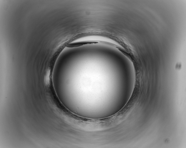 X0000099490024200805221348