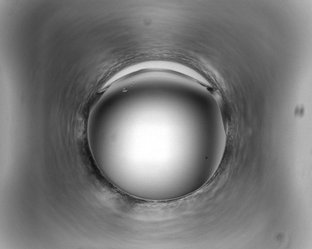 X0000099490025200805221348
