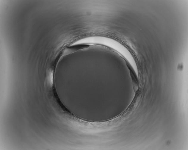 X0000099490027200805221348