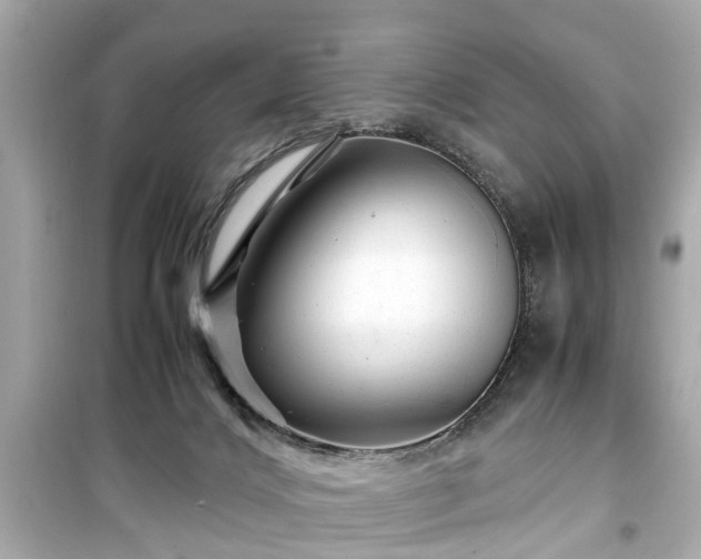 X0000099490028200805221348