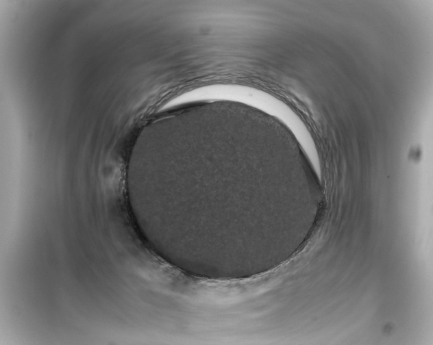 X0000099490029200805221348