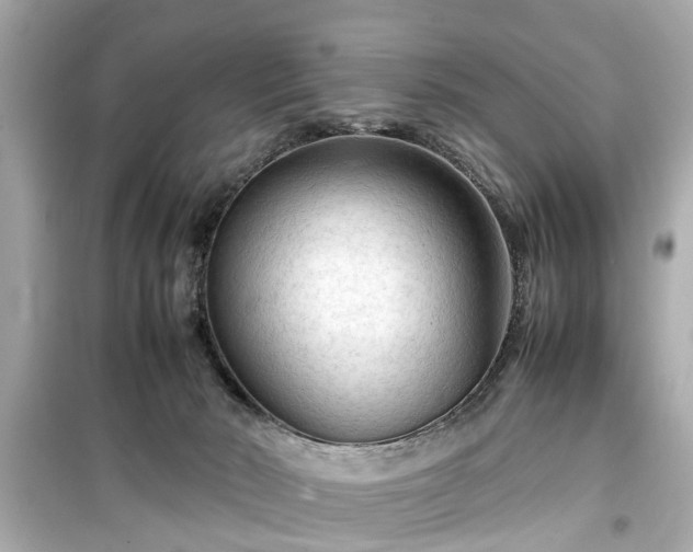 X0000099490030200805221348