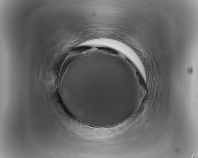 X0000099490031200805221348