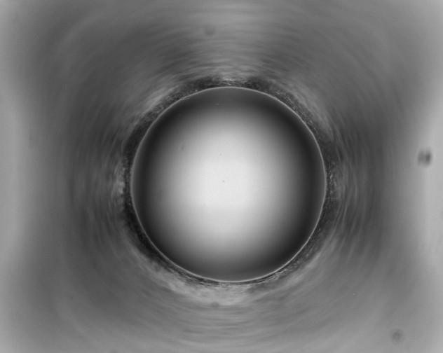 X0000099490032200805221348