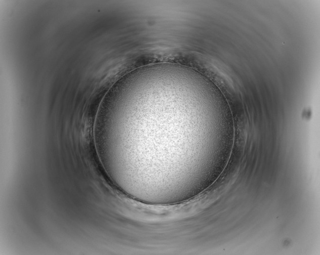 X0000099490034200805221348