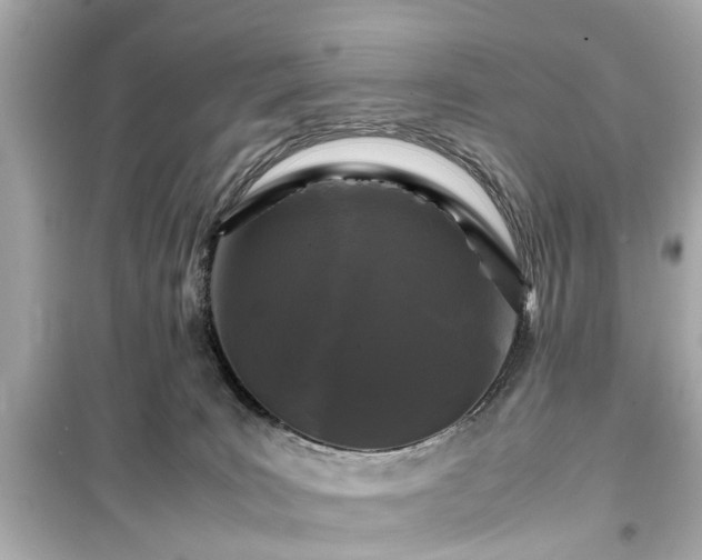 X0000099490035200805221348