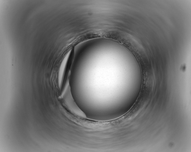 X0000099490036200805221348