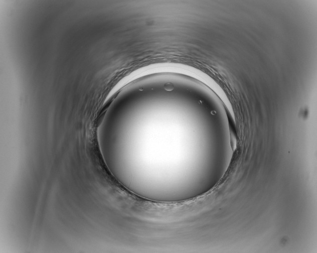 X0000099490037200805221348