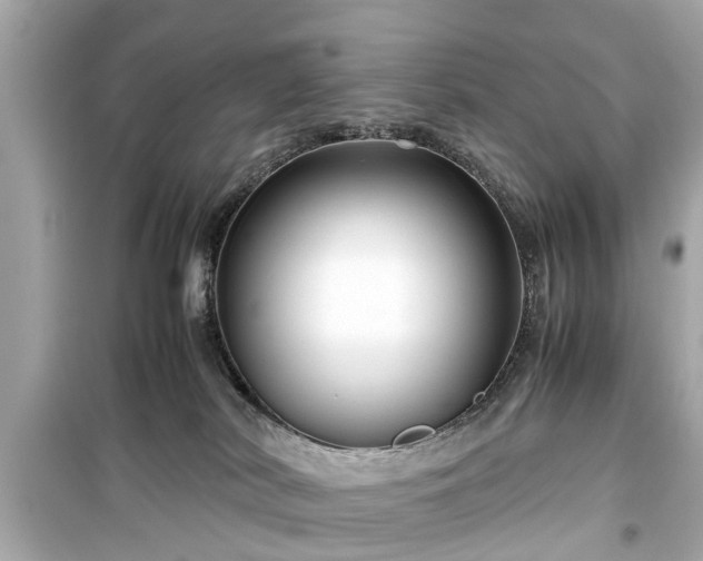 X0000099490038200805221348