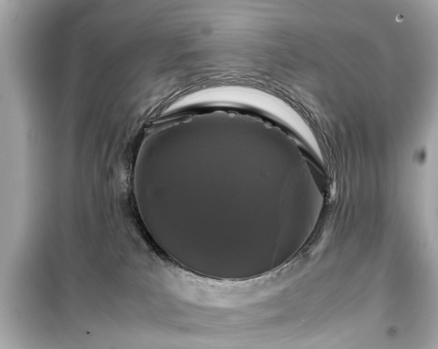X0000099490039200805221348