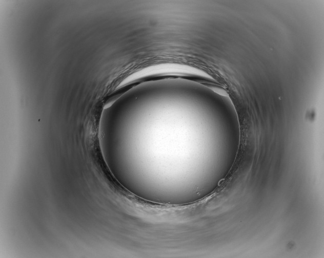 X0000099490040200805221348