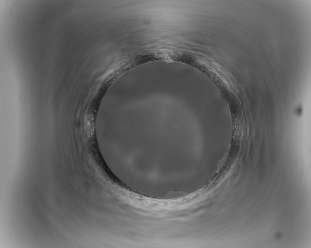 X0000099490043200805221348