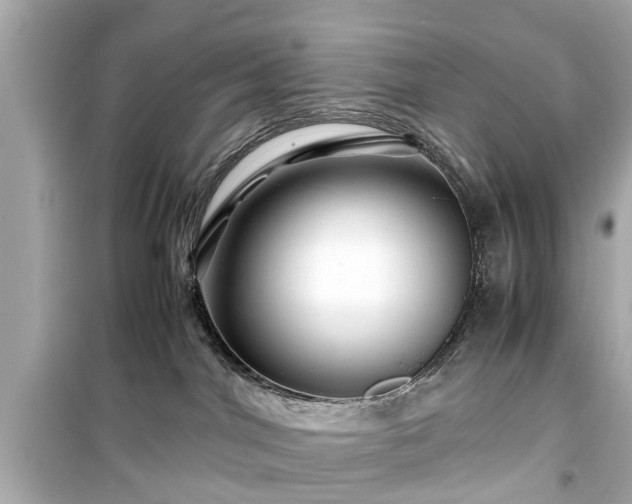 X0000099490044200805221348