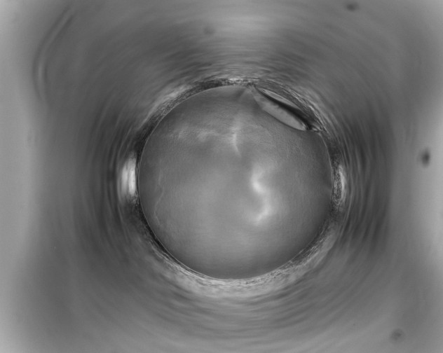 X0000099490046200805221347
