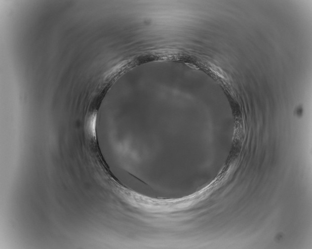 X0000099490047200805221347