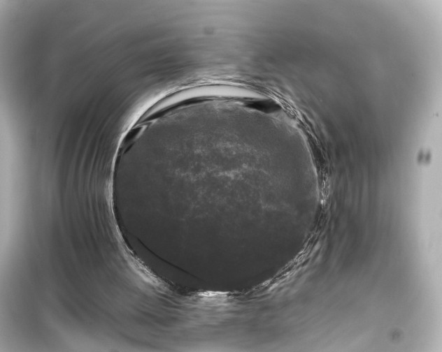 X0000099490052200805221347