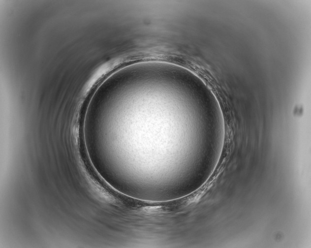 X0000099490054200805221347