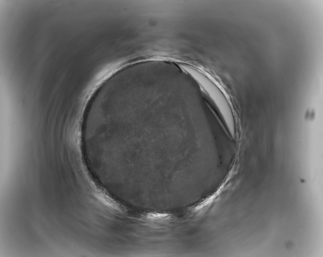 X0000099490055200805221347