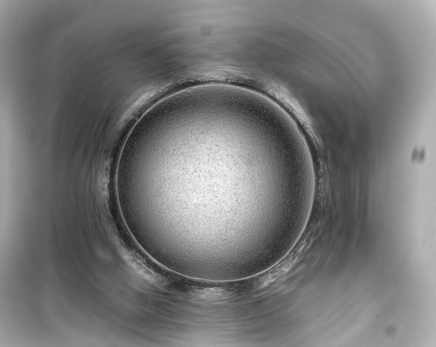 X0000099490058200805221347