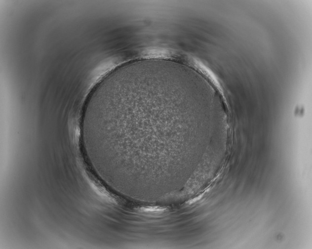 X0000099490059200805221347