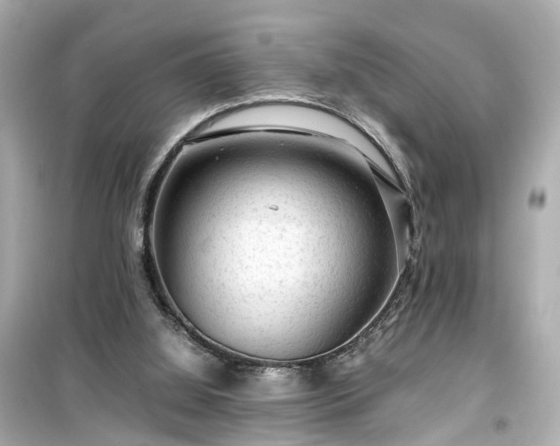 X0000099490060200805221347