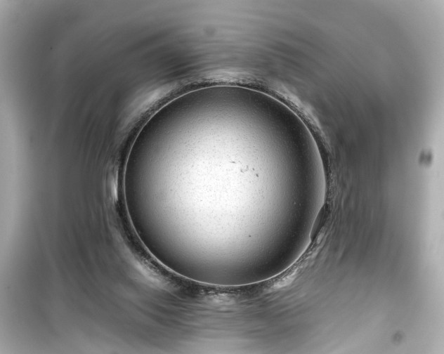 X0000099490062200805221347